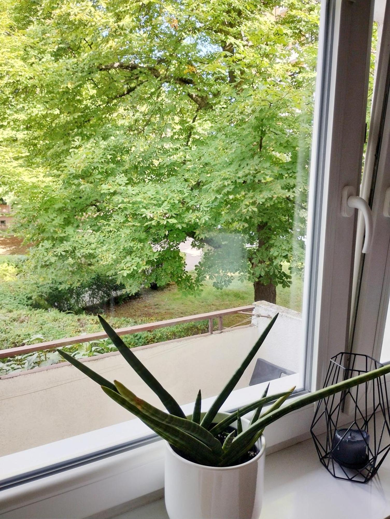 Przytulne Mieszkanko Mokotow Warsaw Ngoại thất bức ảnh